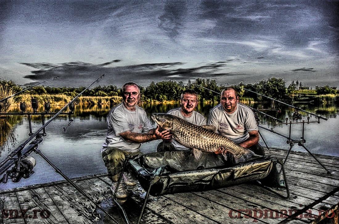 Cupa Seniorilor 2013 - 1010895hdrmode2.JPG